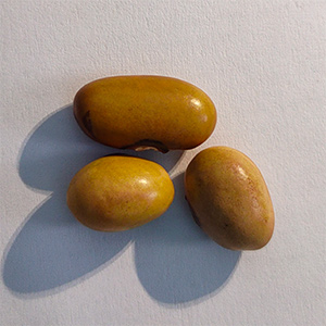 172605034148848000