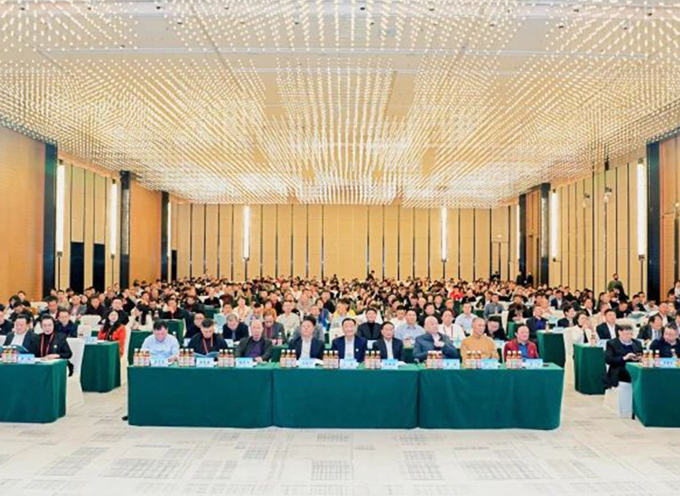 20241202134524_20063 Starbo星宝(中国集团)官方网站